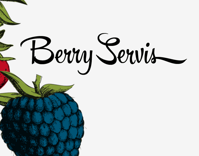 Berry Servis