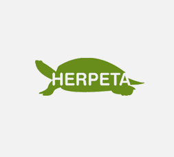 Herpeta
